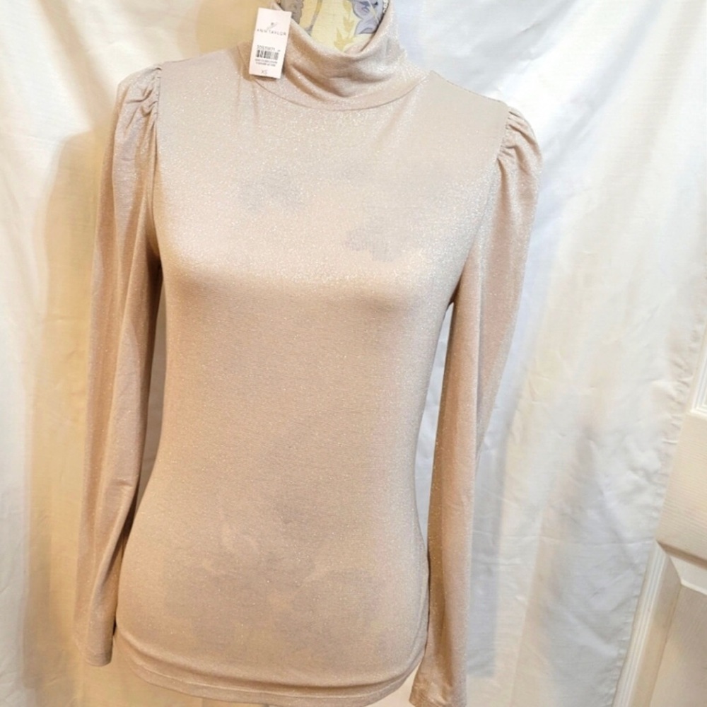 Ann Taylor Shimmery Champagne Mock Turtleneck